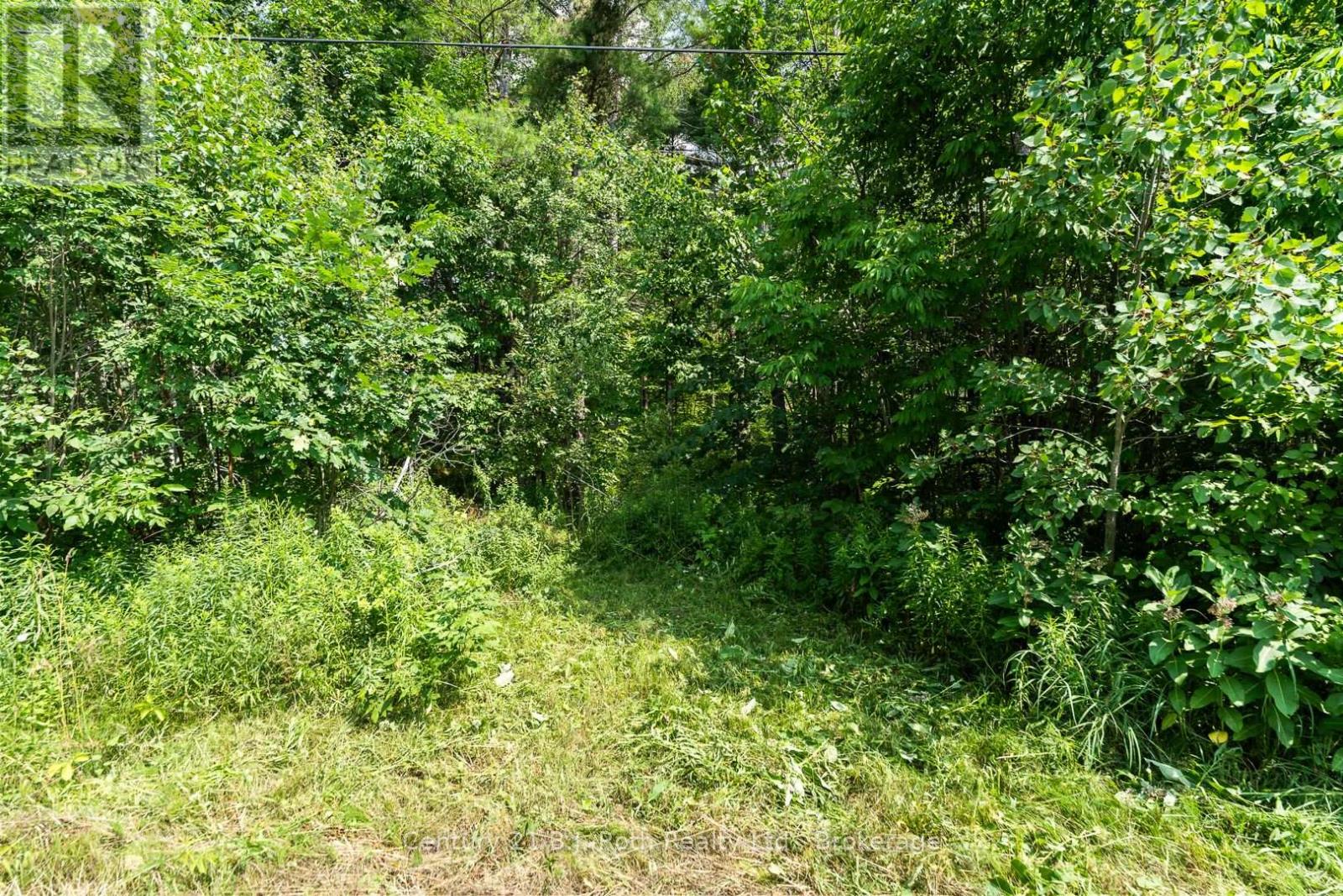 1140 Sam Cook Road, Gravenhurst, Ontario  P1P 1R3 - Photo 6 - X12289819