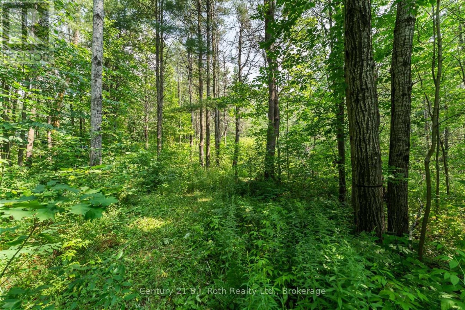 1140 Sam Cook Road, Gravenhurst, Ontario  P1P 1R3 - Photo 8 - X12289819