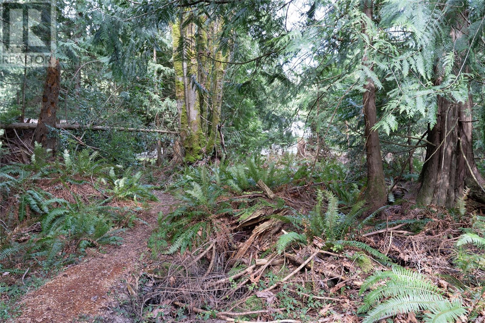 10741 Chemainus Rd, Ladysmith, British Columbia  V0G 2A6 - Photo 43 - 1002239