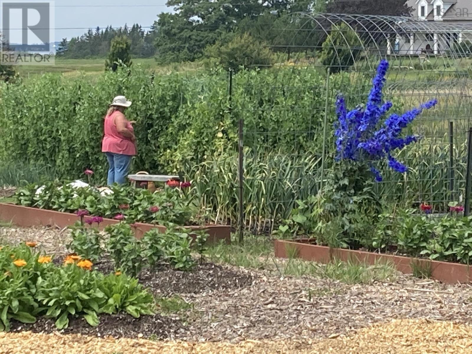 821 6 Highway, Marshville, Nova Scotia  B0K 1N0 - Photo 31 - 202508332