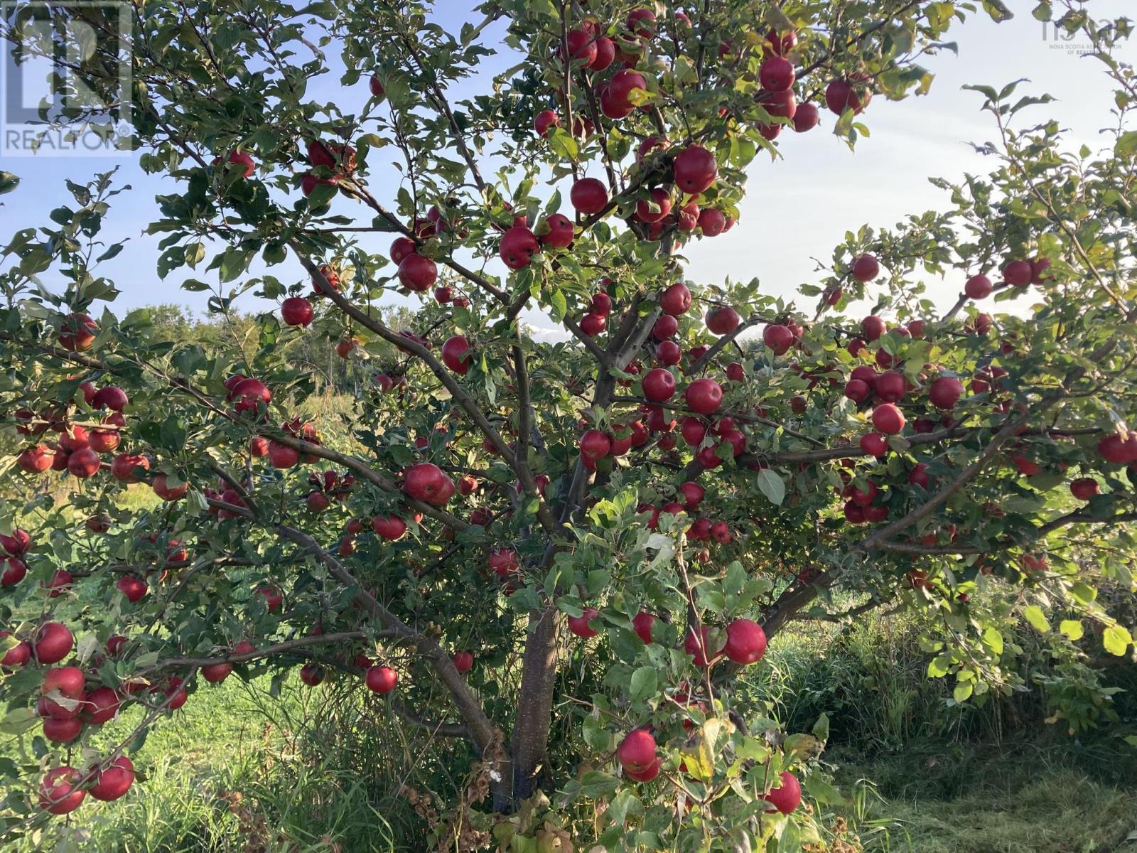 821 6 Highway, Marshville, Nova Scotia  B0K 1N0 - Photo 36 - 202508332