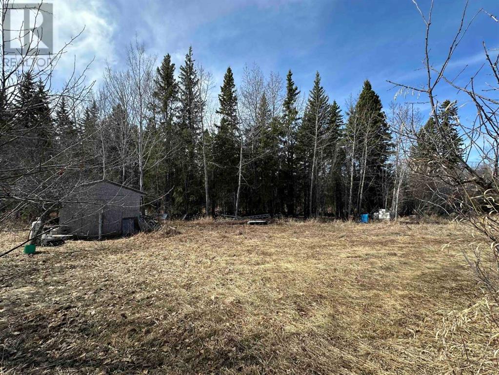 15179 Old Trail, Plamondon, Alberta  T0A 2T0 - Photo 31 - A2213612