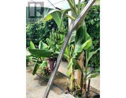 791 CLEAR LAKE ROAD, Parry Sound Remote Area, Ontario