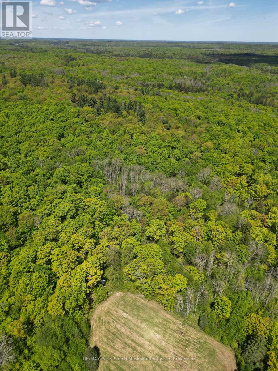 791 Clear Lake Road, Parry Sound Remote Area, Ontario  P0H 1A0 - Photo 12 - X12188085