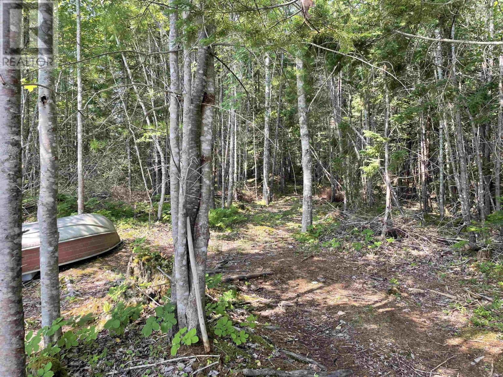 2420 Marble Mountain Road, West Bay, Nova Scotia  B0E 3K0 - Photo 2 - 202517885