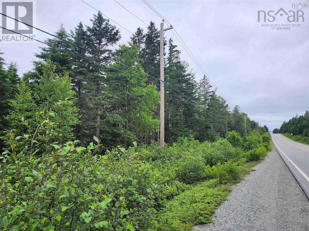 Lots Highway 329, Blandford, Nova Scotia  B0J 1T0 - Photo 1 - 202517889
