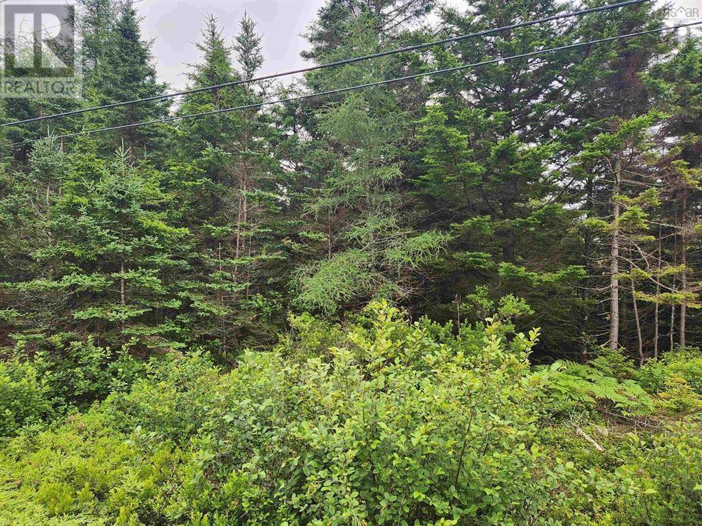 Lots Highway 329, Blandford, Nova Scotia  B0J 1T0 - Photo 2 - 202517889