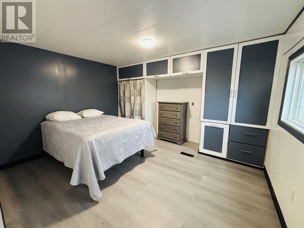 421 Margaret Avenue, Duchess, Alberta  T0J 0Z0 - Photo 13 - A2240585