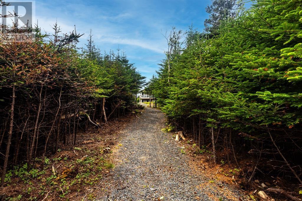 34 Burnt Point Road, Spread Eagle, Newfoundland & Labrador  A0B 2W0 - Photo 30 - 1287004