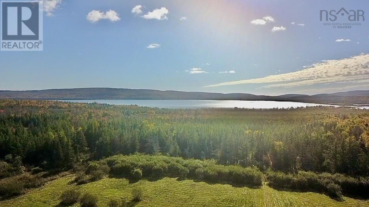 44 Acres Strathlorne-Scotsville Road, Kenloch, Nova Scotia  B0E 1N0 - Photo 13 - 202509510