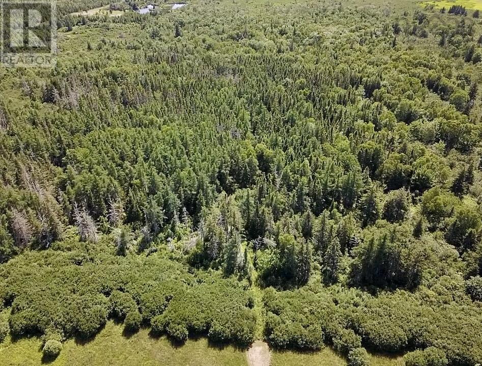 44 Acres Strathlorne-Scotsville Road, Kenloch, Nova Scotia  B0E 1N0 - Photo 20 - 202509510