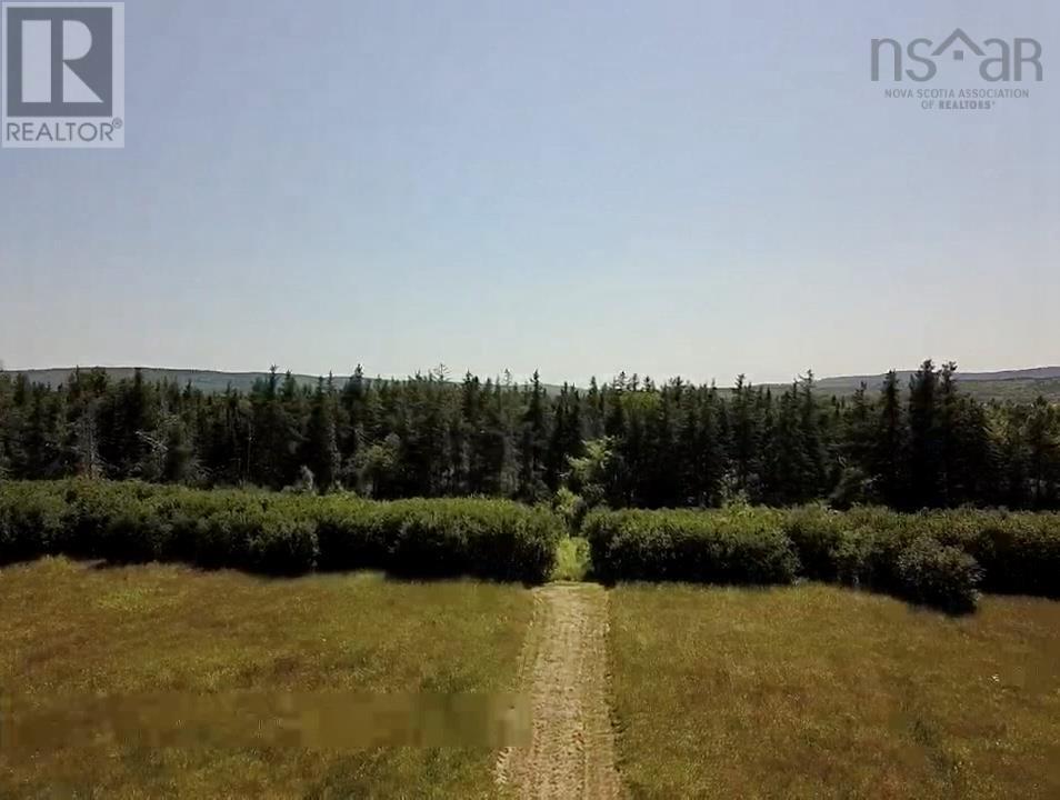 44 Acres Strathlorne-Scotsville Road, Kenloch, Nova Scotia  B0E 1N0 - Photo 29 - 202509510