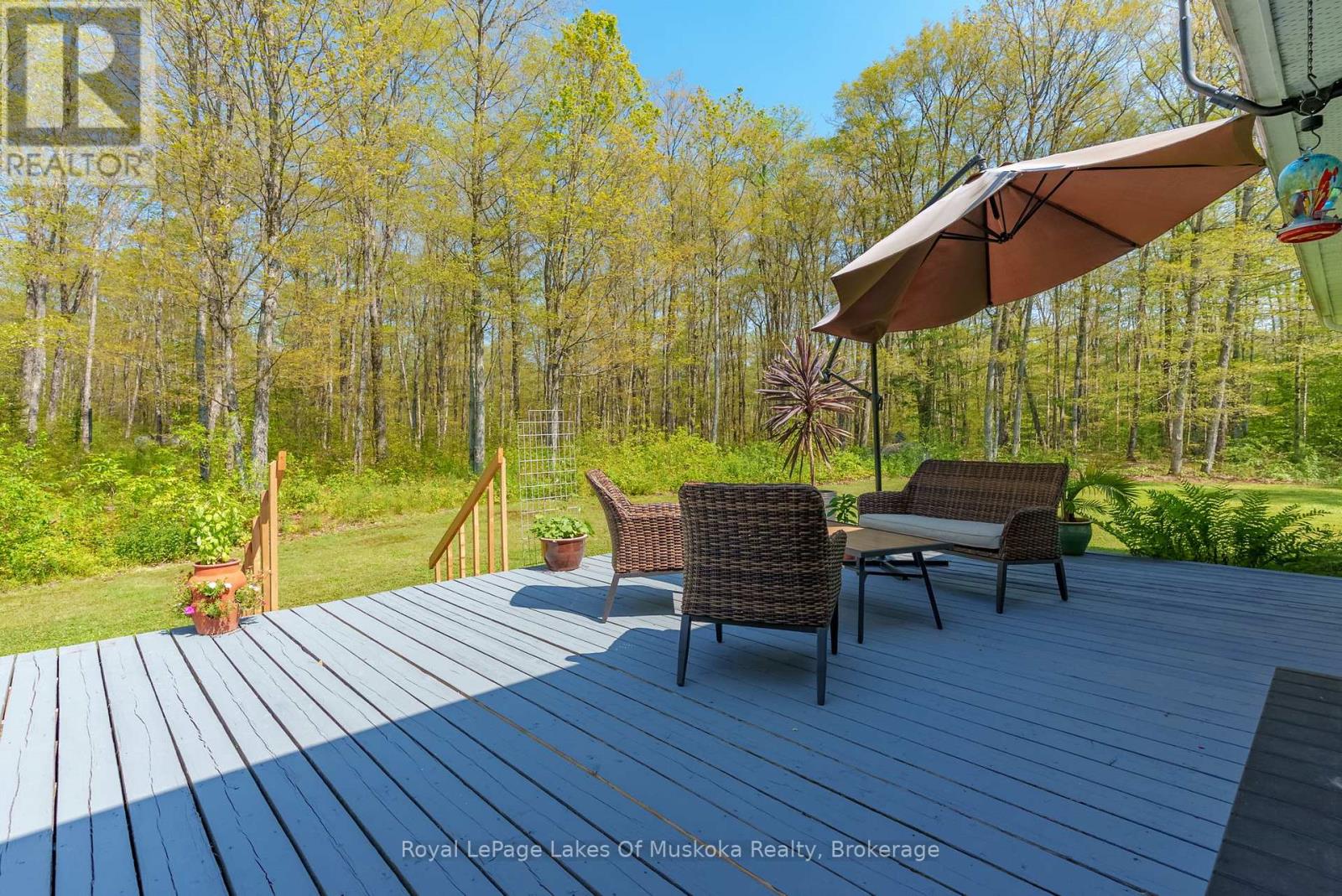 1101 Starratt Road, Ryerson, Ontario  P0A 1C0 - Photo 35 - X12290310