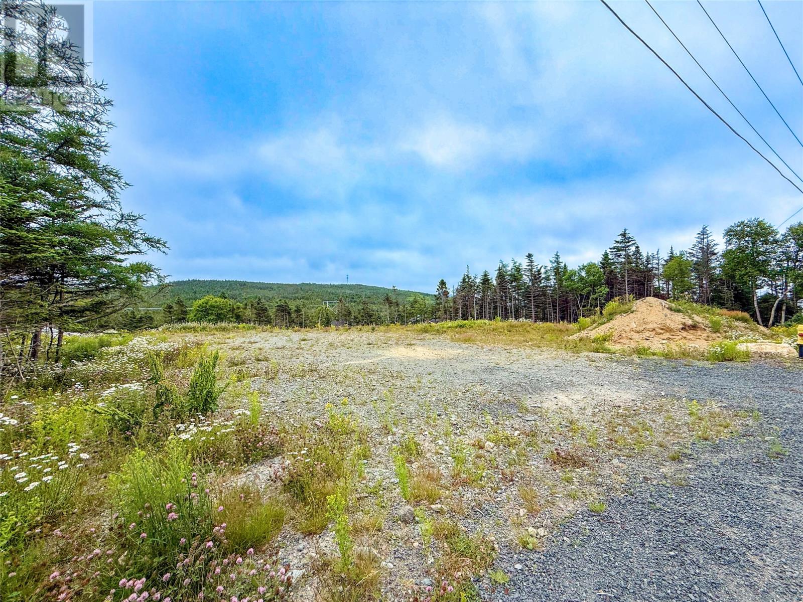 56-62 Long Pond Road, Whiteway, Newfoundland & Labrador  A0B 3L0 - Photo 3 - 1287825