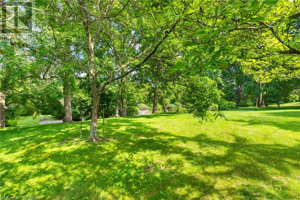 Property at 1023 WEST RIVER Road image 4