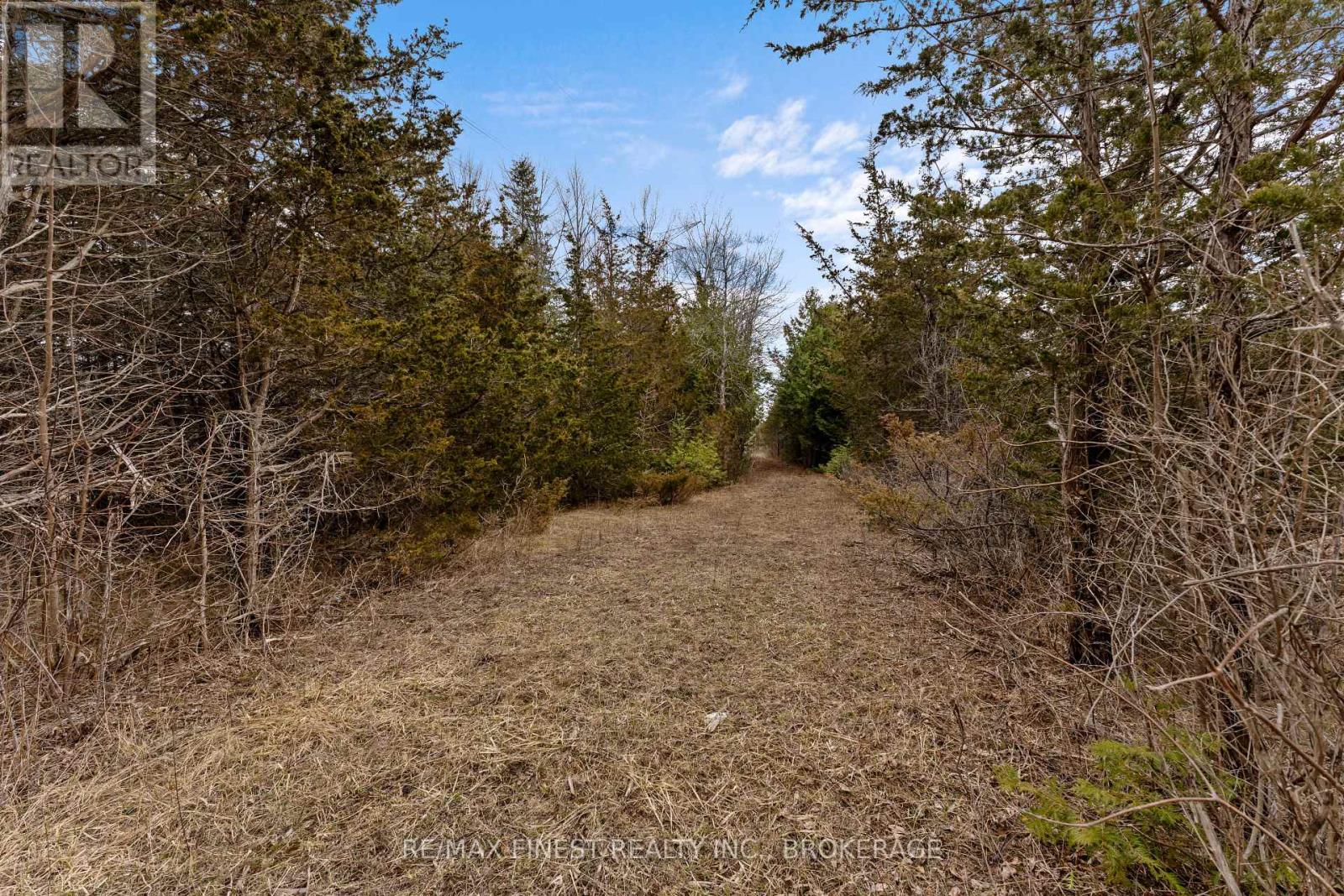 210 Beechwood Road, Greater Napanee (Greater Napanee), Ontario  K7R 3L1 - Photo 4 - X12290474