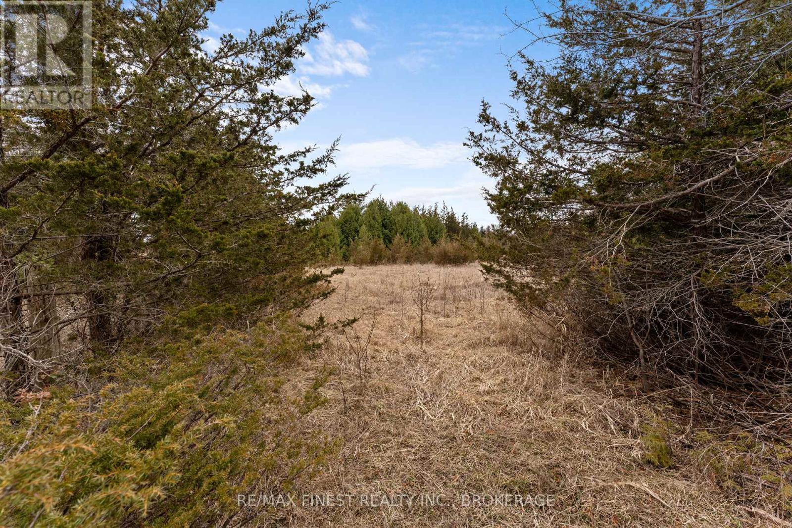 210 Beechwood Road, Greater Napanee (Greater Napanee), Ontario  K7R 3L1 - Photo 5 - X12290474