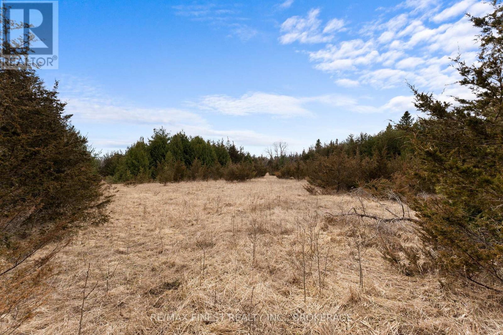210 Beechwood Road, Greater Napanee (Greater Napanee), Ontario  K7R 3L1 - Photo 6 - X12290474
