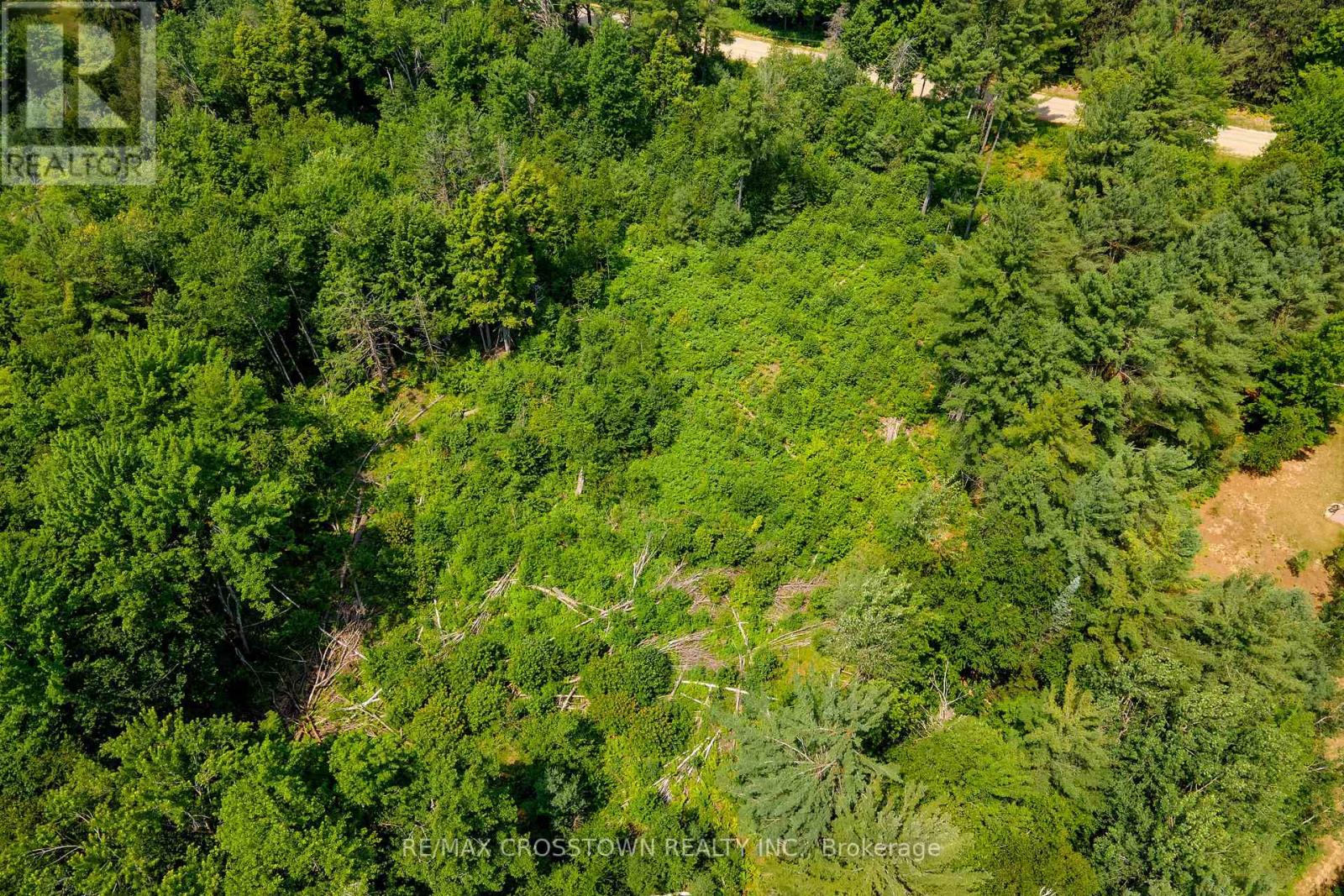 1979 Concession M-N Road, Ramara, Ontario  L0L 1T0 - Photo 8 - S12290339