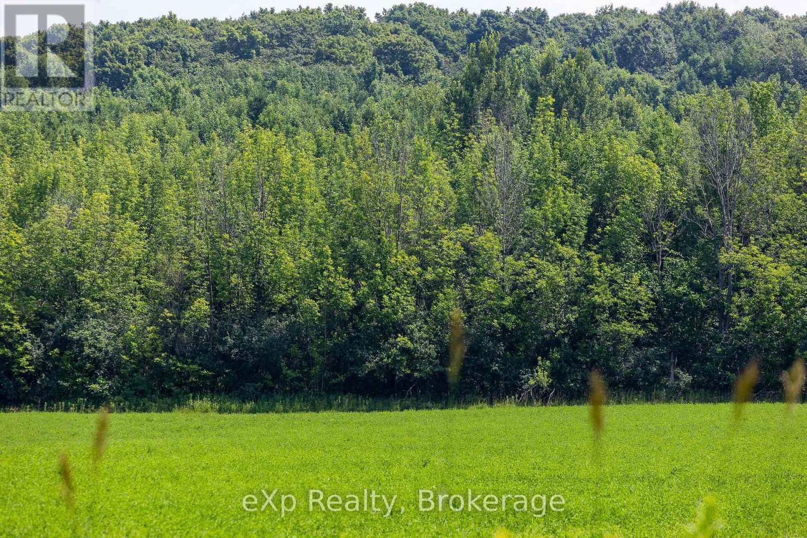 Con 11 Pt Lot 7, Sideroad 8, Meaford, Ontario  N4L 1W5 - Photo 5 - X12065398