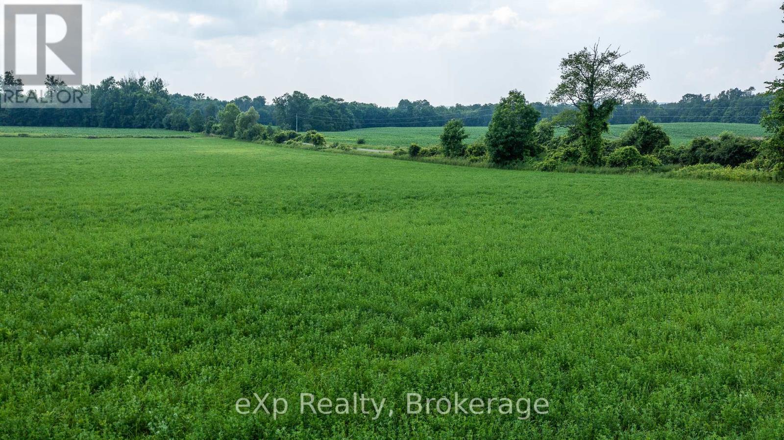 Con 11 Pt Lot 7, Sideroad 8, Meaford, Ontario  N4L 1W5 - Photo 15 - X12066434