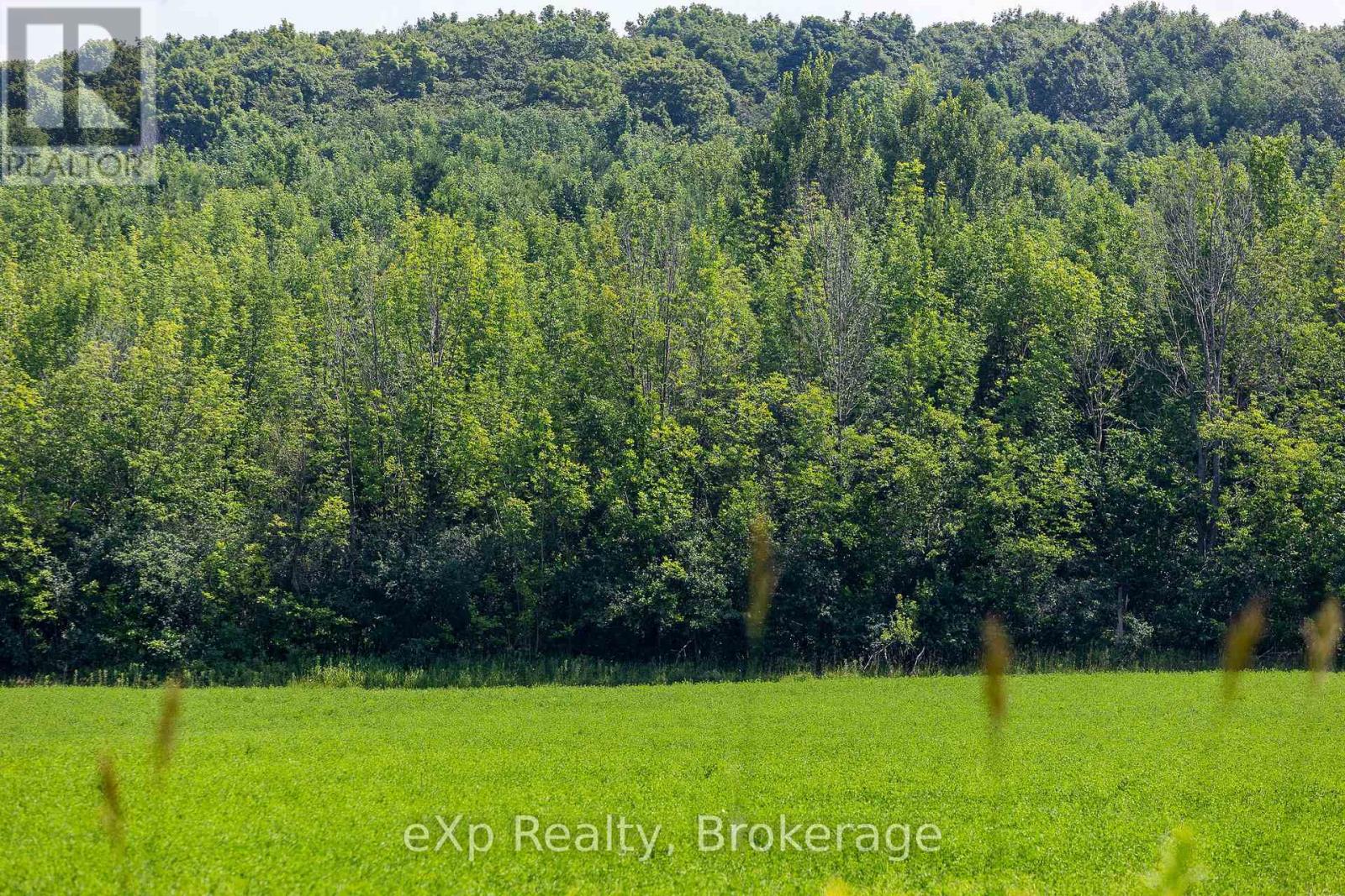 Con 11 Pt Lot 7, Sideroad 8, Meaford, Ontario  N4L 1W5 - Photo 5 - X12066434
