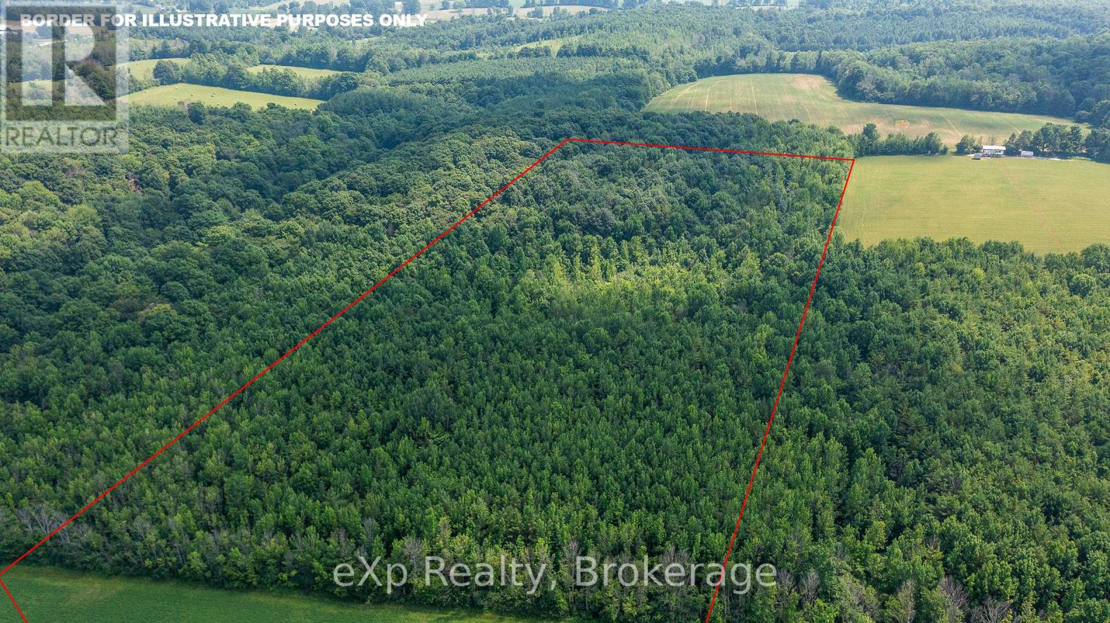 Con 11 Pt Lot 7, Sideroad 8, Meaford, Ontario  N4L 1W5 - Photo 9 - X12066434