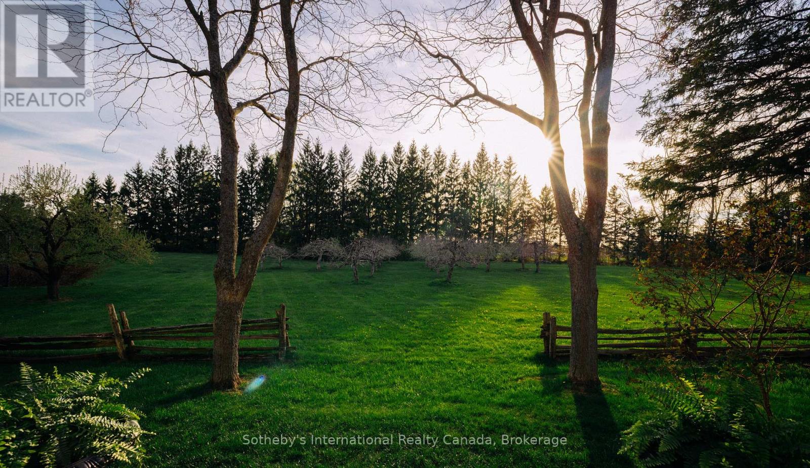 47014 Old Mail Road, Grey Highlands, Ontario  N4L 1W7 - Photo 38 - X12150434