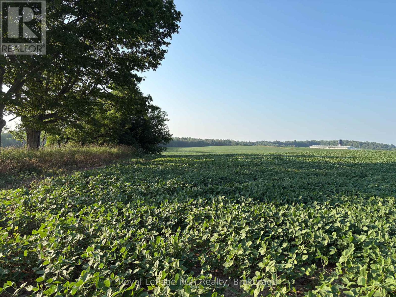 Lot 13 Grey Rd 9, Southgate, Ontario  N0G 2A0 - Photo 4 - X12290590