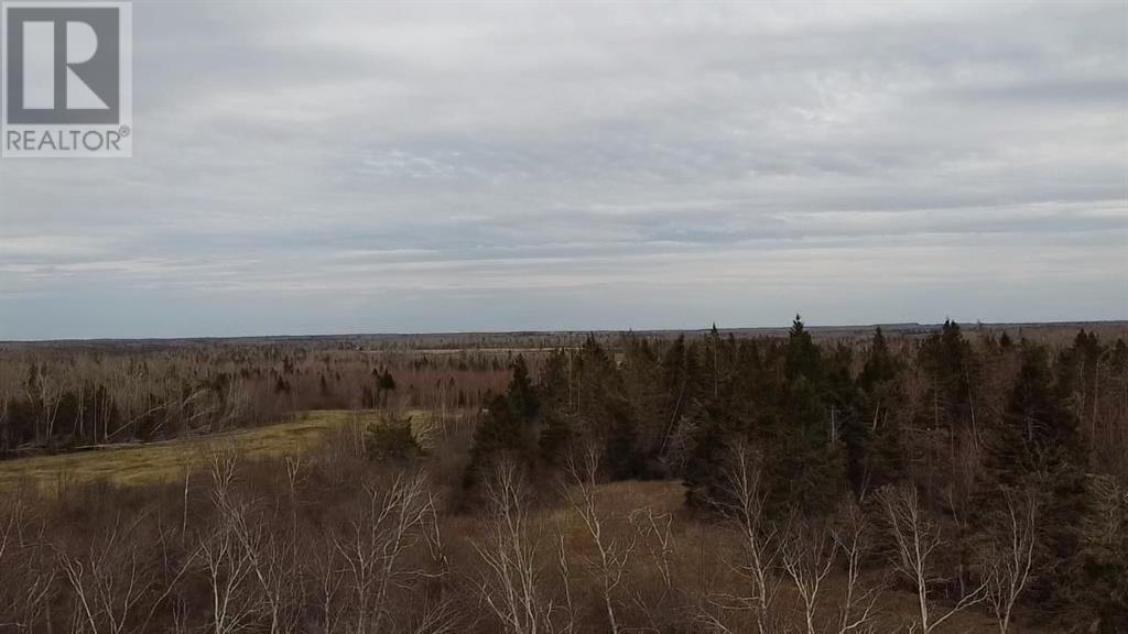 Acreage Peakes Road, Riverton, Prince Edward Island  C0A 1S0 - Photo 3 - 202517917