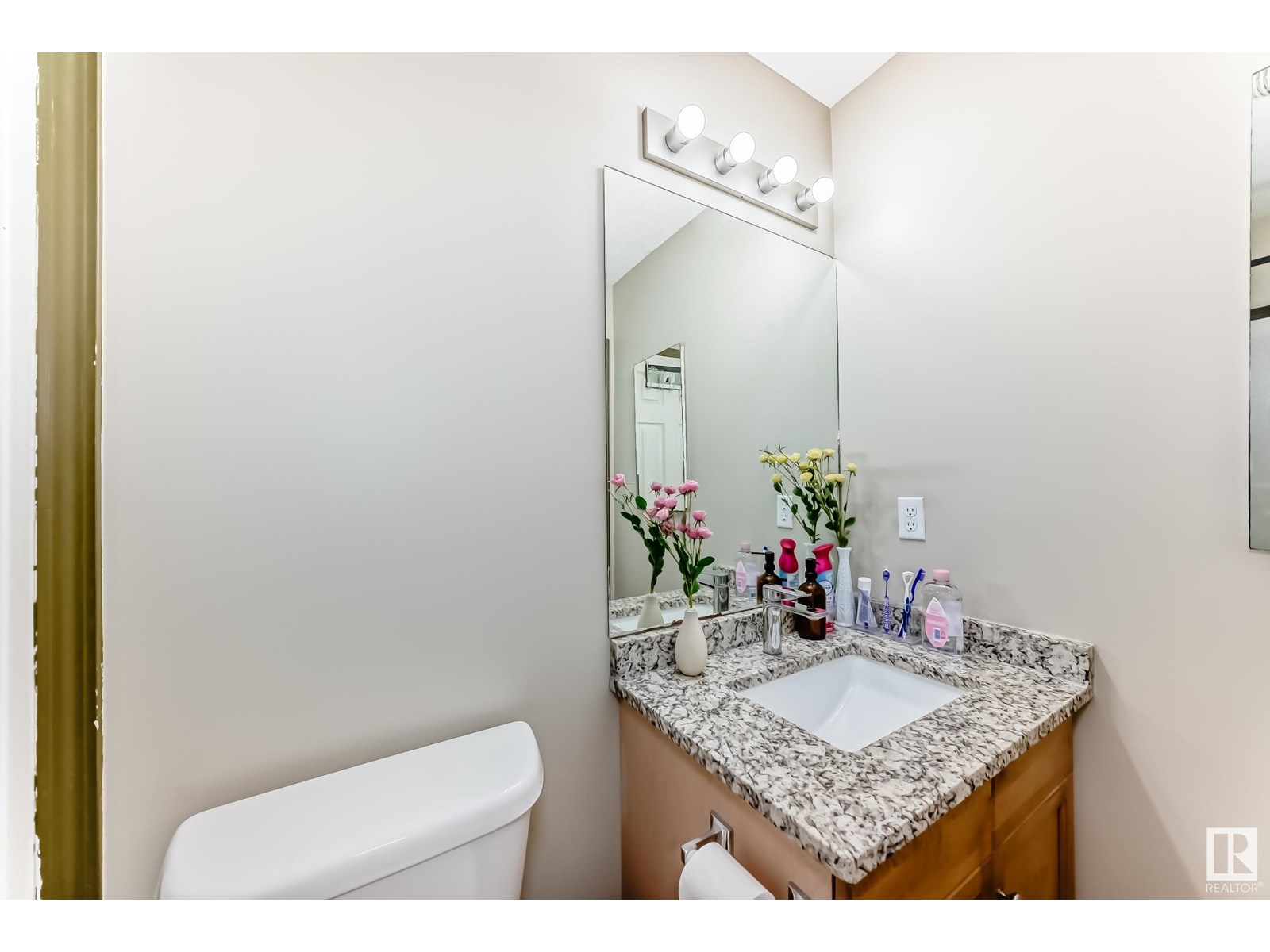 3510 22 St Nw, Edmonton, Alberta  T6T 1W2 - Photo 30 - E4448216