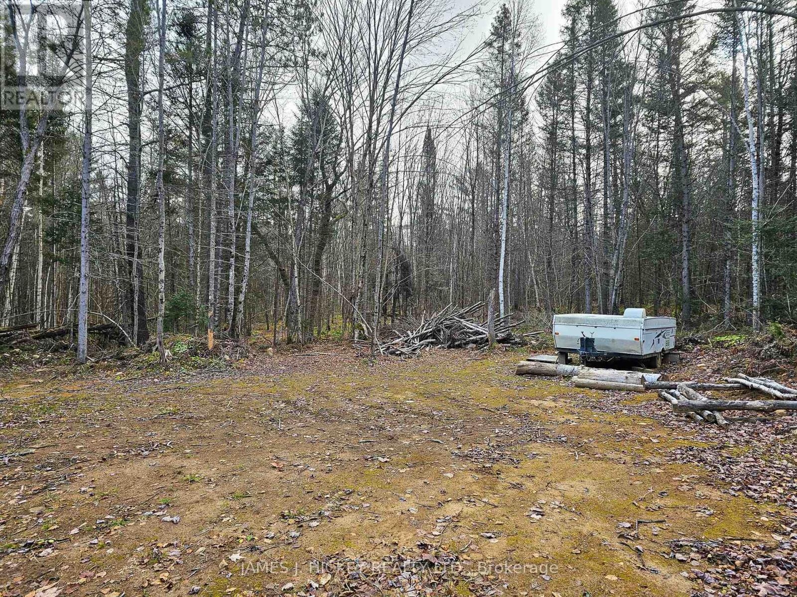 446 Burritt's Road, Papineau-Cameron, Ontario  P0H 1V0 - Photo 2 - X12290810