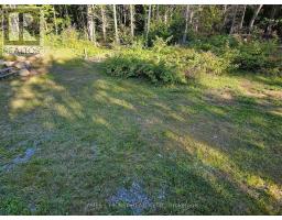 446 Burritt'S Road, Papineau-Cameron (Papineau Cameron), Ca
