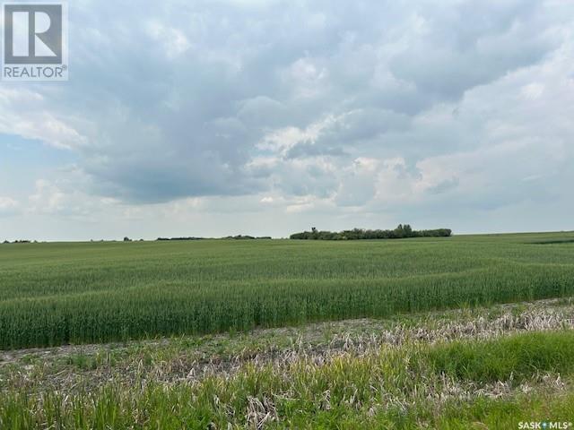 Grose Land, Elcapo Rm No. 154, Saskatchewan  S0G 0K0 - Photo 4 - SK012693
