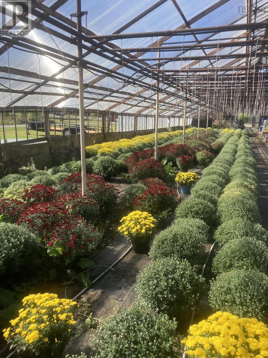 429 Seaview Drive, Upper North Sydney, Nova Scotia  B2A 3N7 - Photo 14 - 202428547