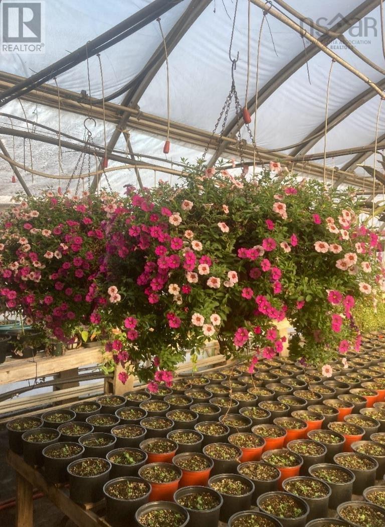 429 Seaview Drive, Upper North Sydney, Nova Scotia  B2A 3N7 - Photo 26 - 202428547