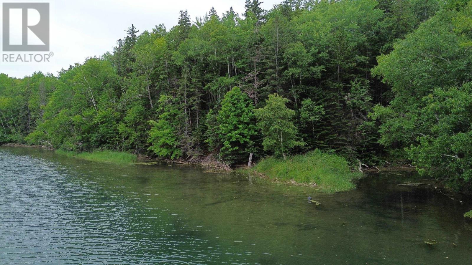 11420 Highway 19, Mabou, Nova Scotia  B0E 1X0 - Photo 33 - 202517953