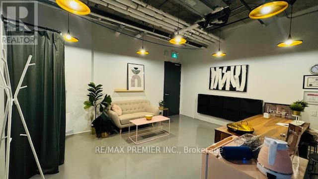 210 - 334 Adelaide Street W, Toronto, Ontario  M5V 0M1 - Photo 3 - C12291069