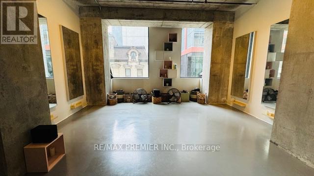 210 - 334 Adelaide Street W, Toronto, Ontario  M5V 0M1 - Photo 5 - C12291069