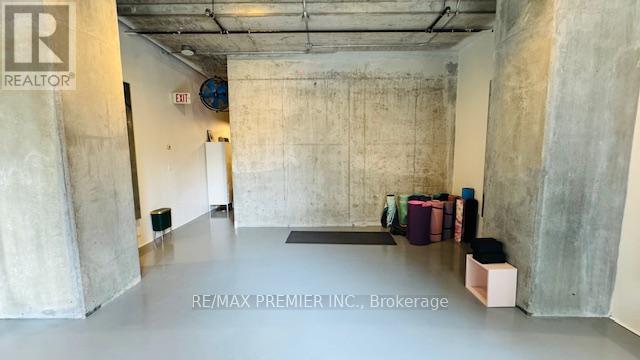 210 - 334 Adelaide Street W, Toronto, Ontario  M5V 0M1 - Photo 8 - C12291069