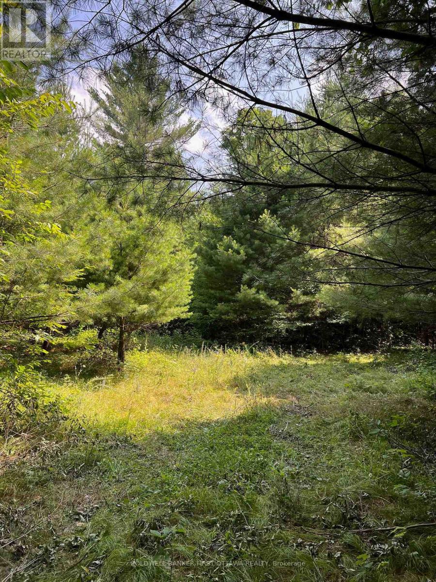 2603 Ramsay 6d Concession, Mississippi Mills, Ontario  K0A 1A0 - Photo 38 - X12243644