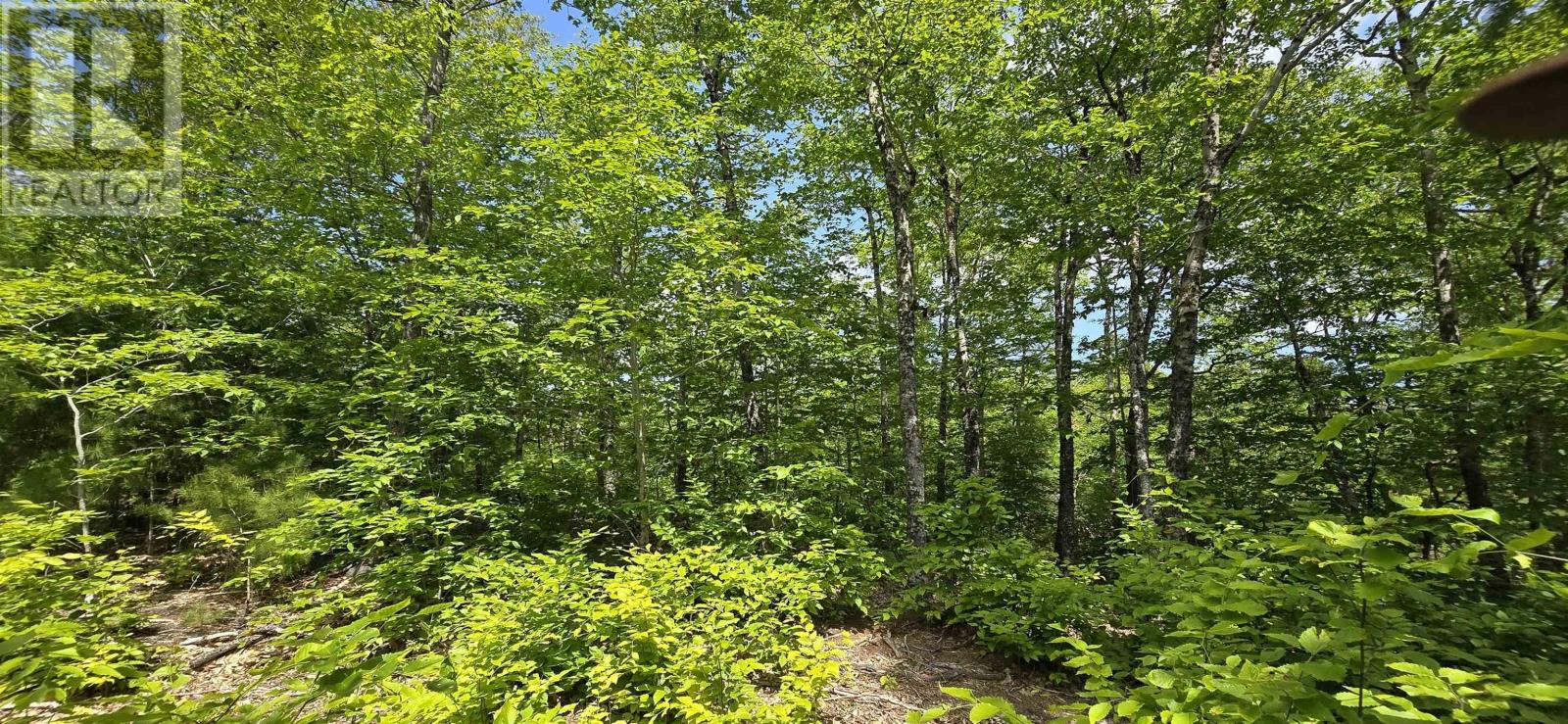 Lot 24-2 East Clifford Road, East Clifford, Nova Scotia  B4V 7R8 - Photo 10 - 202513797