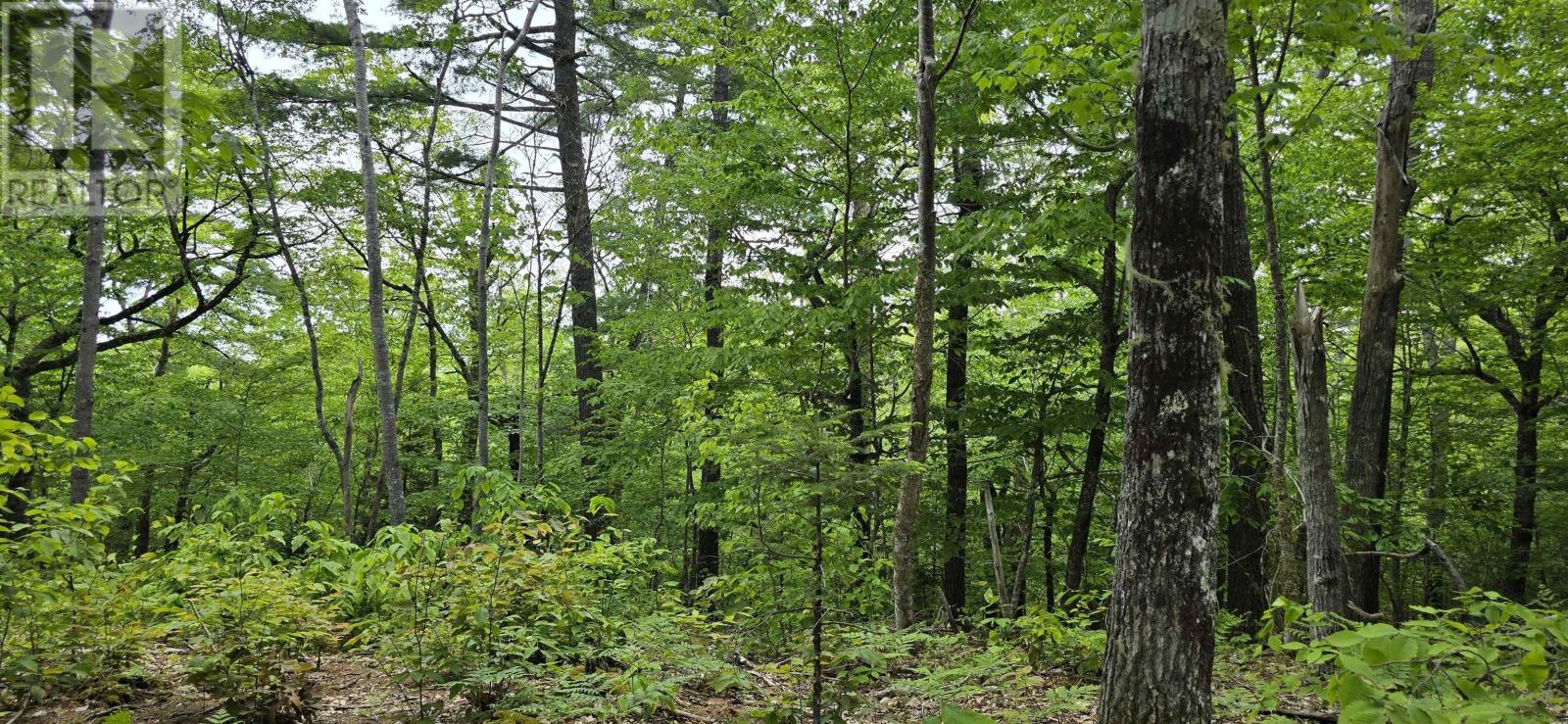 Lot 24-1 East Clifford Road, East Clifford, Nova Scotia  B4V 7R8 - Photo 13 - 202513794
