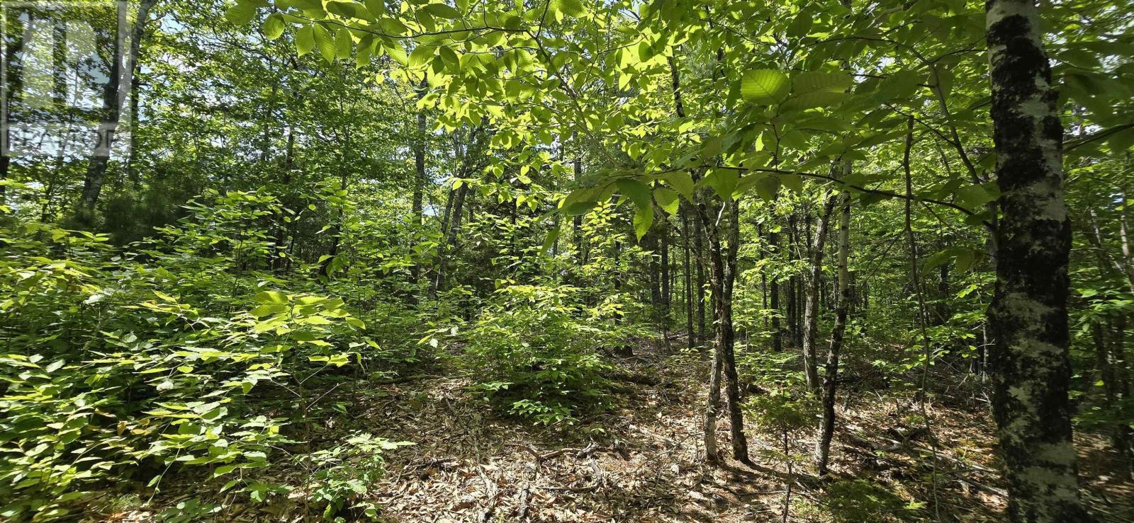 Lot 24-2 East Clifford Road, East Clifford, Nova Scotia  B4V 7R8 - Photo 14 - 202513797