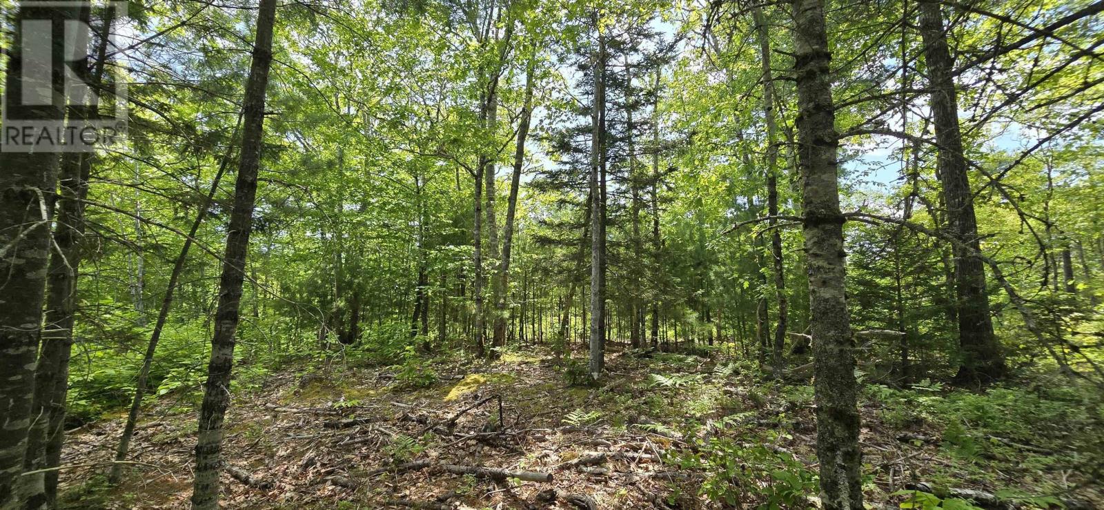 Lot 24-2 East Clifford Road, East Clifford, Nova Scotia  B4V 7R8 - Photo 16 - 202513797