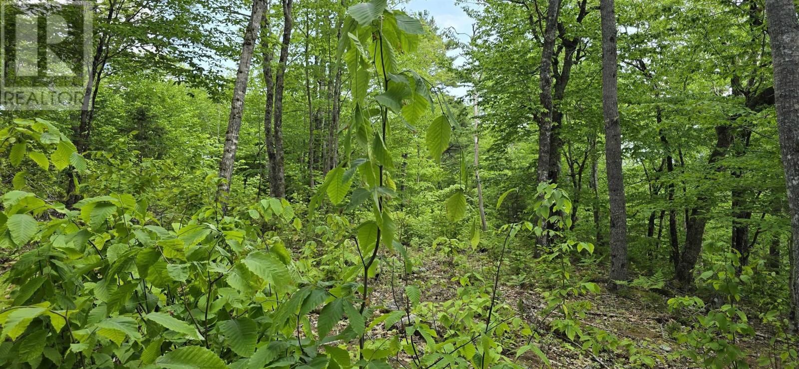 Lot 24-1 East Clifford Road, East Clifford, Nova Scotia  B4V 7R8 - Photo 19 - 202513794