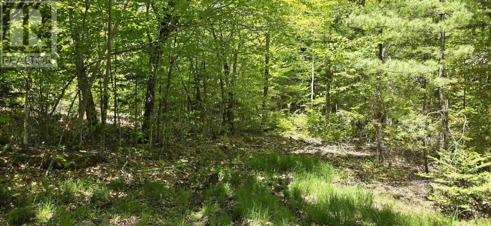 Lot 24-1 East Clifford Road, East Clifford, Nova Scotia  B4V 7R8 - Photo 20 - 202513794