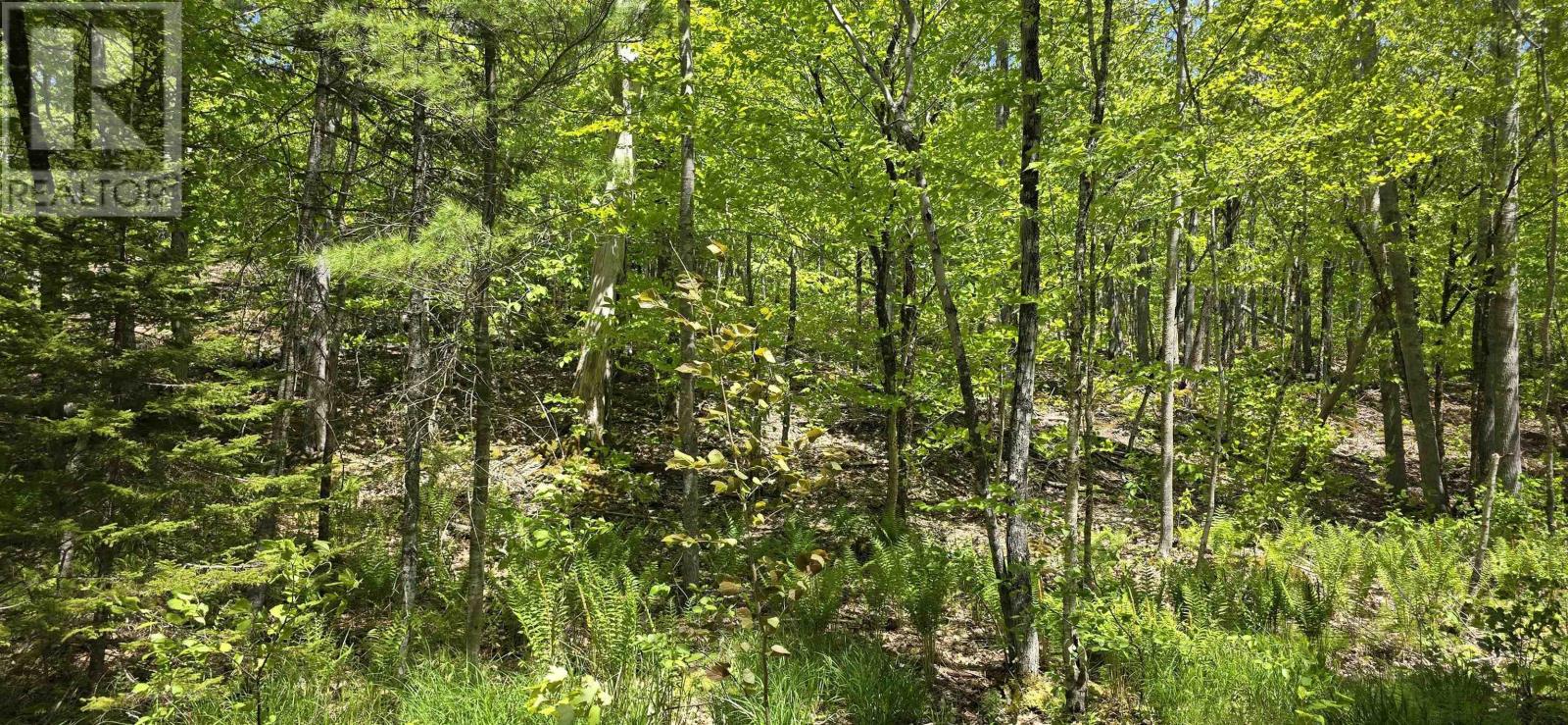 Lot 24-2 East Clifford Road, East Clifford, Nova Scotia  B4V 7R8 - Photo 19 - 202513797