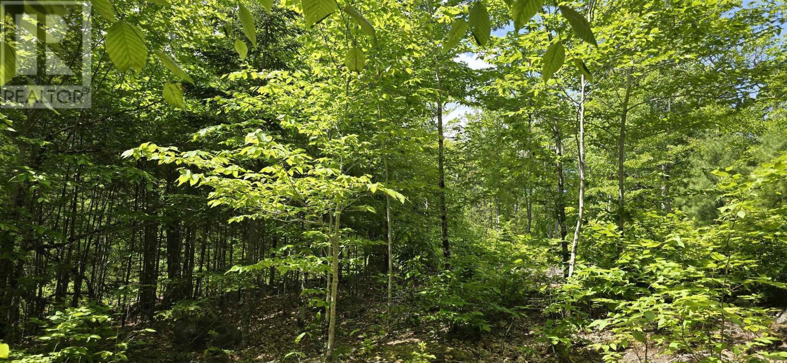 Lot 24-2 East Clifford Road, East Clifford, Nova Scotia  B4V 7R8 - Photo 8 - 202513797