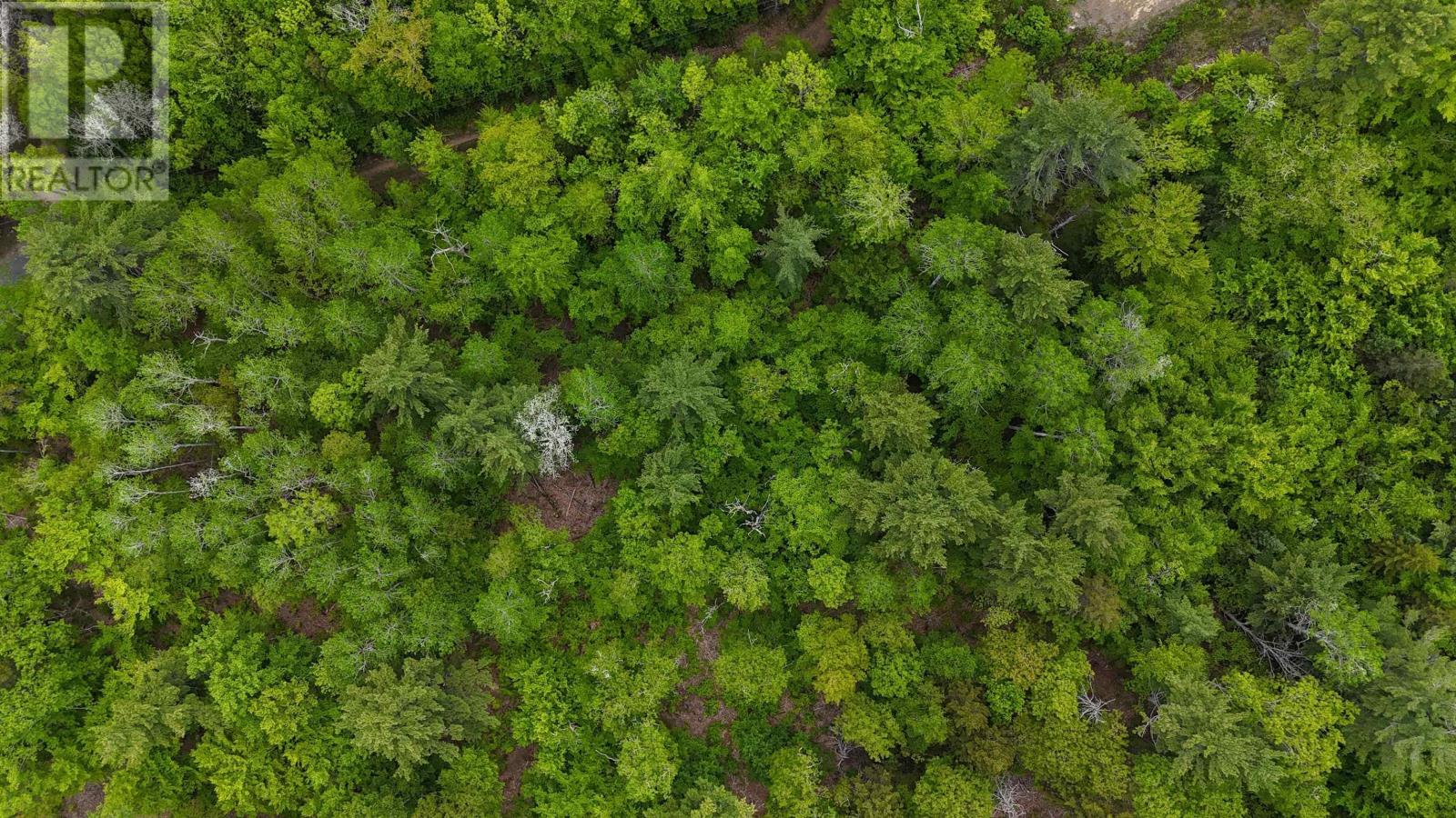 Lot 24-2 East Clifford Road, East Clifford, Nova Scotia  B4V 7R8 - Photo 29 - 202513797
